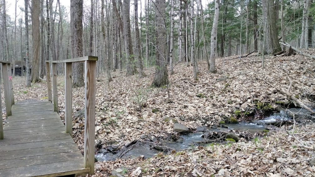 Sounds of Upstate:Max V. Shaul State Park