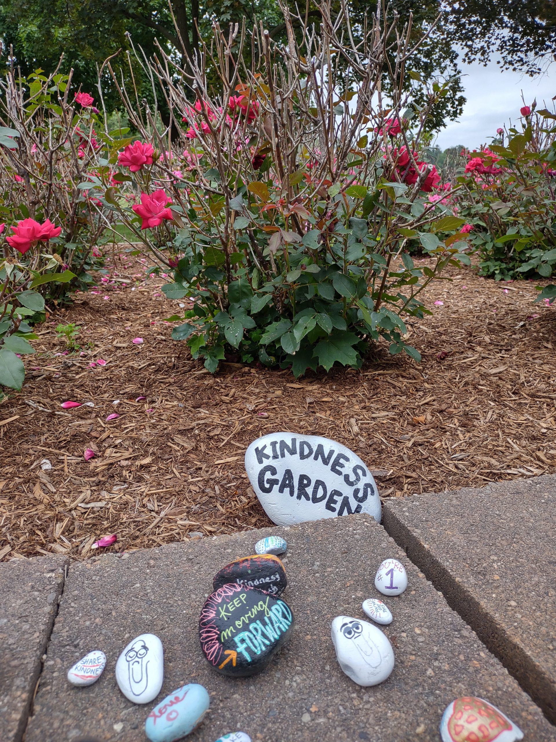 Spotted in Upstate NY