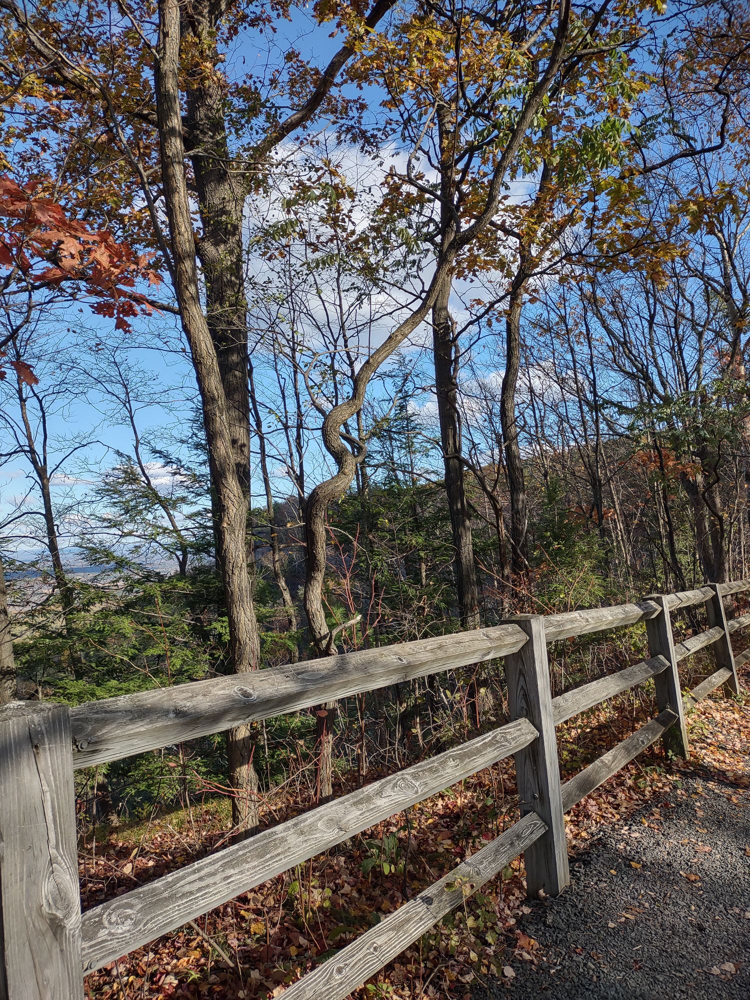 Scenes from Thacher Park